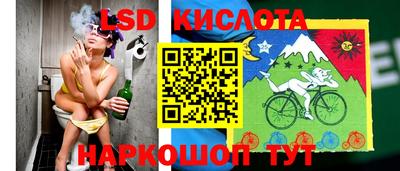 дживик Можга