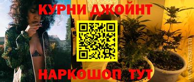 индика Можайск