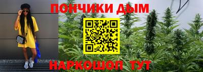 индика Можайск