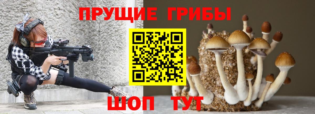 Химки  Псилоцибиновые грибы мухоморы  Вход с VPN 